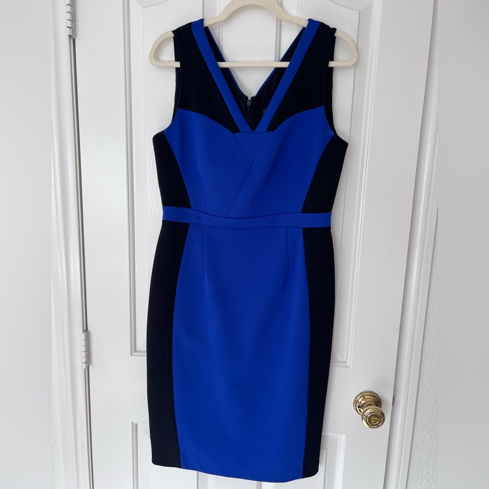 Adrianna Papell Royal Blue and Black Midi Dress